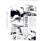 星島日報-咖啡文化的一點曙光